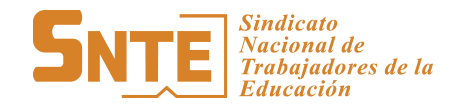 SNTE Logo